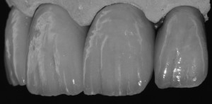 IMG_3767 - Kopie - Kopie (2)