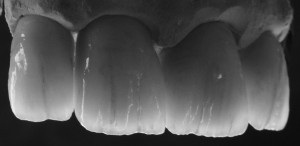 IMG_3772 - Kopie (2)